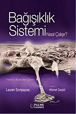 Bağışıklı Sistemi Nasıl Çalışır ?