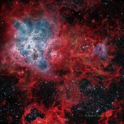  The Cosmic Web of the Tarantula Nebula 