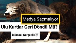ULU KURTLAR GERİ DÖNDÜ MÜ?