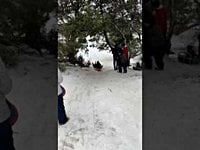 Braving the snow? Send us pictures. - Lakewood/East Dallas