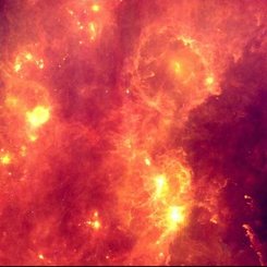 IRAS Orion