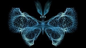 Kaos Teorisi Nedir? Doğadaki Kaostan Söz Ederken Neyi Kastediyoruz?