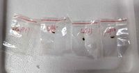 Chinese couple charged with smuggling a biological pathogen into the U.S.
