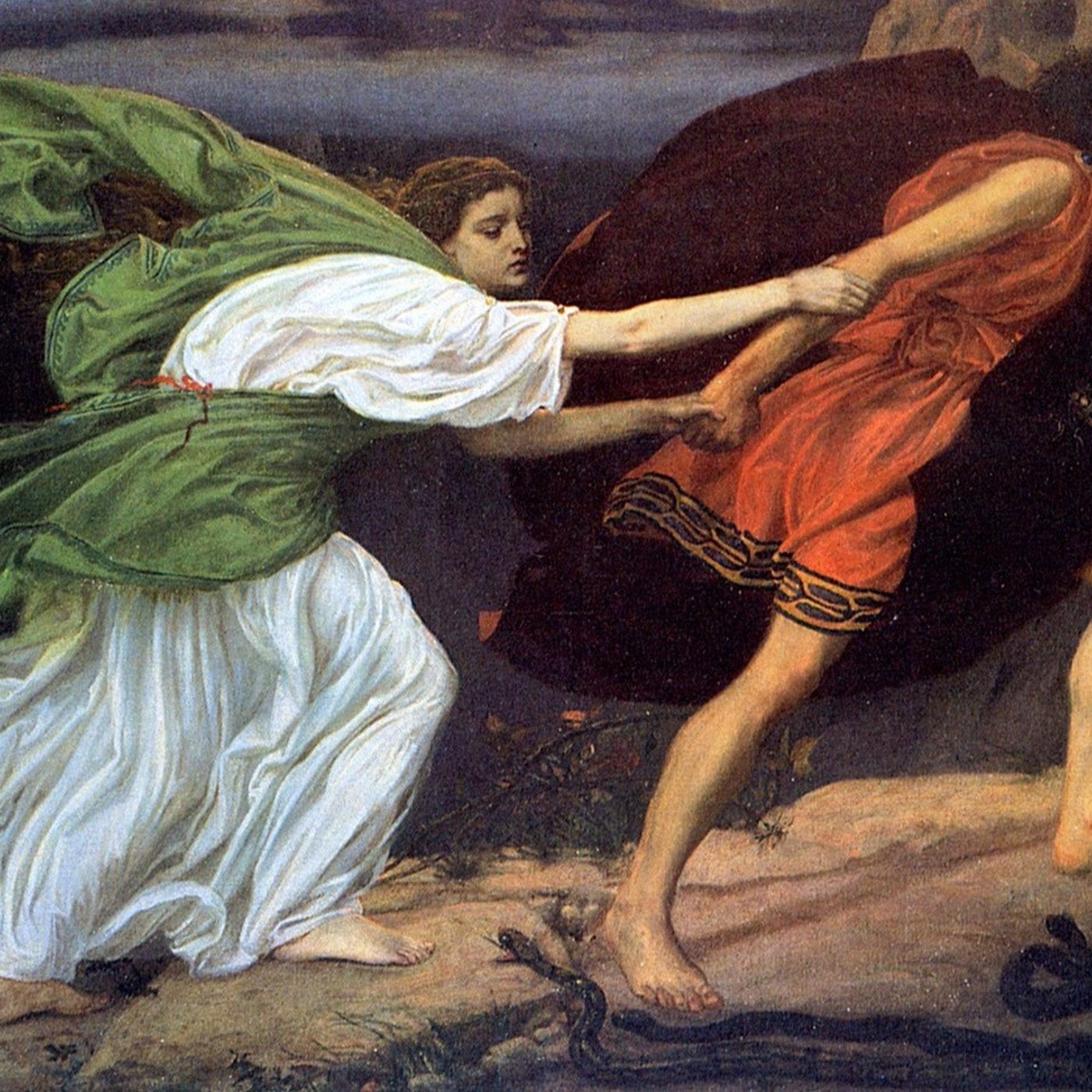 Evrim Ağacı ile Bilime Dair Her Şey!