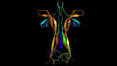 Nörotrofin: Sinirbilimin Temelinde Yer Alan Bir Protein Ailesi!
