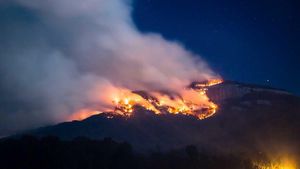 Firefighters Battle Newlands Ravine Blaze Amid Concerns