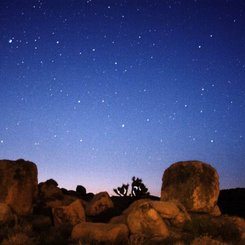 Comets Bradfield and LINEAR Rising