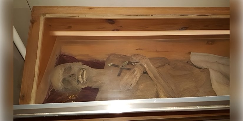 Avusturya'daki St. Thomas am Blasenstein kilisesinin mahzenindeki tabutunda bulunan 'hava ile kurutulmuş papaz' mumyası. Fotoğraf: Andreas Nerlich.