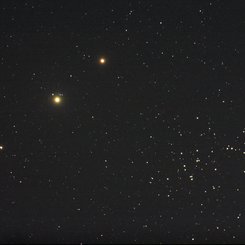 Planets, Bees, and a Donkey