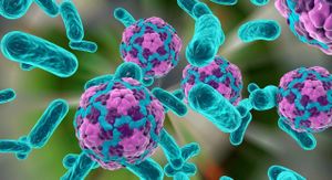 Salmonella Research Reveals Promise For Cancer Therapy