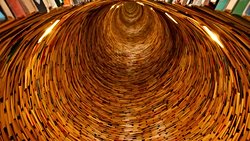 DNA'yı Yeniden Kavramak: Tek Bireyde Birden Fazla Genom Bulunuyor Olabilir mi?