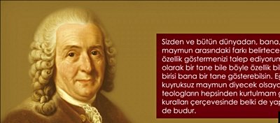 Carl Linnaeus: İnsan ve Kuyruksuz Maymun