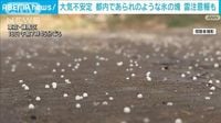 都内で霰のような氷の塊が　雷注意報も出るなど19日明け方まで不安定な天気続く（テレビ朝日系（ANN）） - Yahoo!ニュース