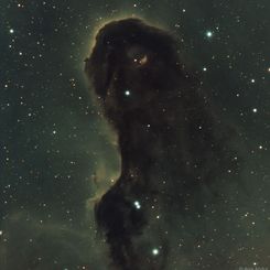  The Dust Monster in IC 1396 