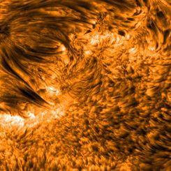 Spicules: Jets on the Sun