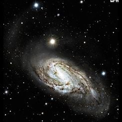 Unusual Spiral Galaxy M66