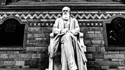 ABD Tarihinde İlk Defa Amerikalıların Yarısından Çoğu, İnsanların Hayvanlardan Evrimleştiği Gerçeğini Kabul Ediyor!