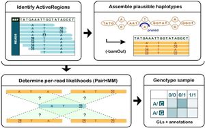 GATFELPA Model Revolutionizes Community Detection With Enhanced Techniques