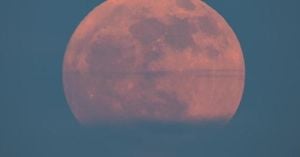Rare Strawberry Moon Lights Up UK Skies Tonight
