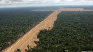 EU Delays Deforestation Law Implementation