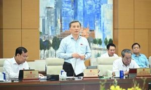 Vietnam Revises Product Quality Laws To Enhance Safety