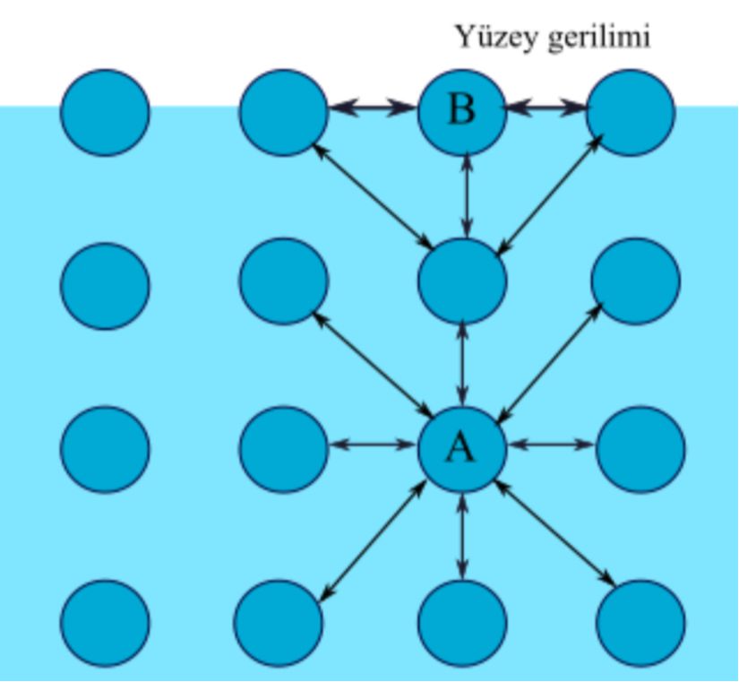 Yüzey Gerilimi Şematik Gösterimi