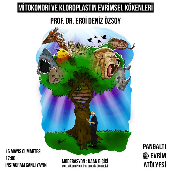 Mitokondri ve Kloroplastın Evrimsel Kökenleri