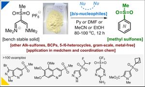 New Reagent Revolutionizes Synthesis Of Methyl Sulfones