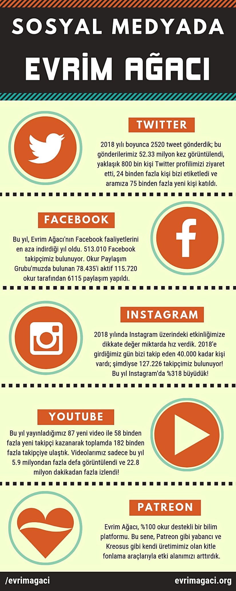 Sosyal Medyada Evrim Ağacı (2018)