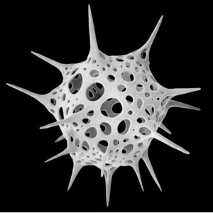 Nanocosmos'un Gizli Dünyası