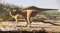New ‘sail-backed’ dinosaur named after Dame Ellen MacArthur