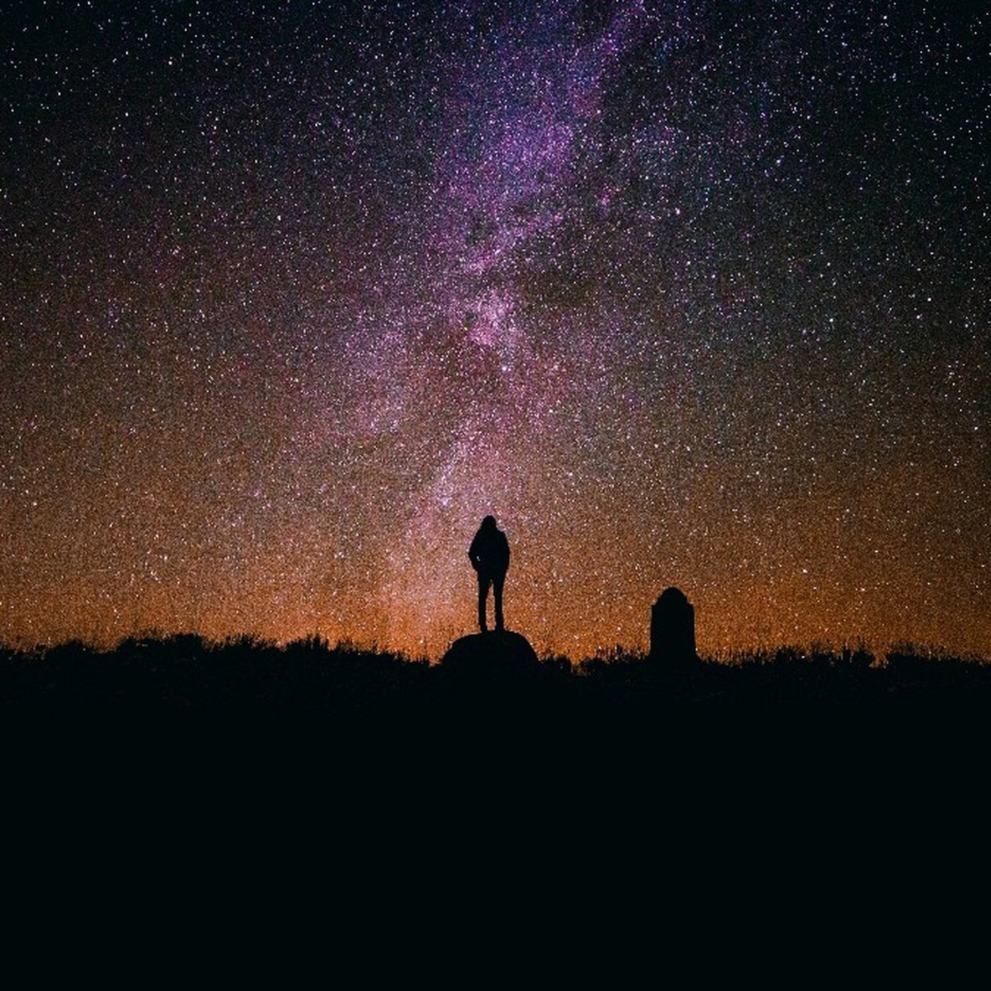 Evrim Ağacı ile Bilime Dair Her Şey!