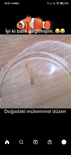 Balıklar kendi yavrularını yer mi?