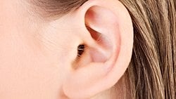 Kulak Memesinin Yapışıklığı Genetik Mi?