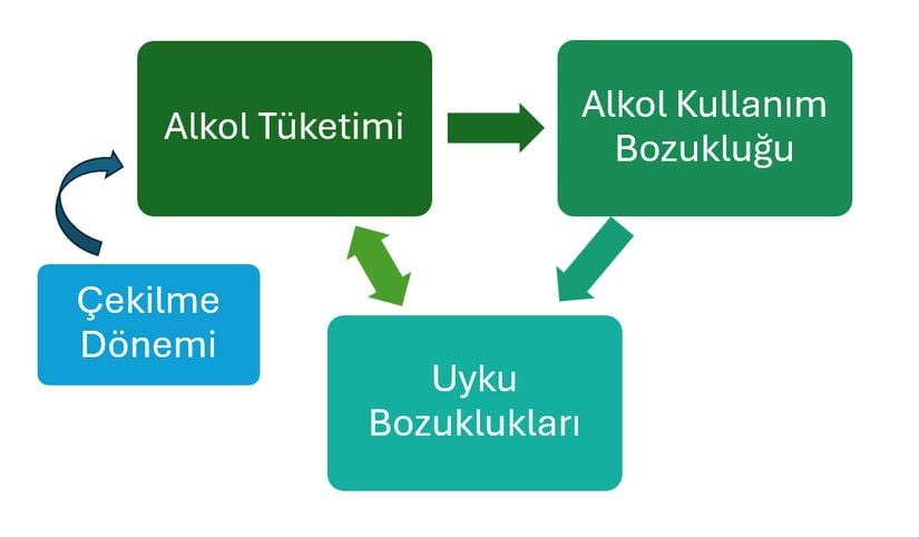 Alkol kullanım bozukluğunun herhangi bir safhasında uyku bozuklukları ortaya çıkabilir.