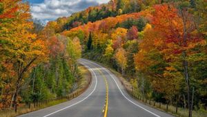 Let The Autumn Vibrancy Begin With Rainfall