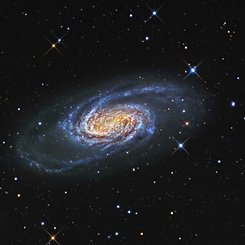 Bright Galaxy NGC 2903