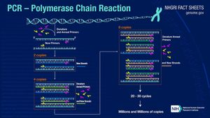 New PCR Assay Enhances Detection Of Fig Tree Pathogens