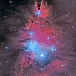 In the Vicinity of the Cone Nebula