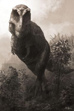 T. Rex Sandığımızdan Daha da Devasa Olabilir!