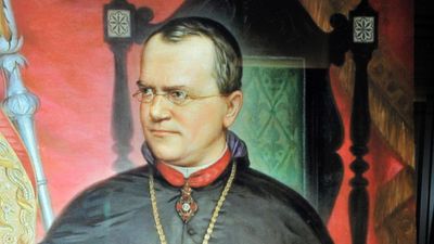 Gregor Mendel Kimdir? Bir Rahip, Nasıl 