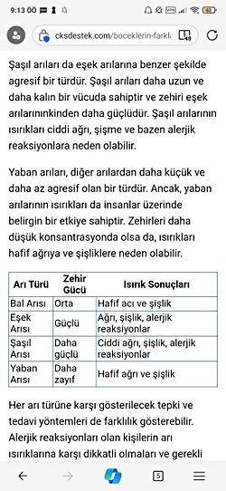 Şaşıl arısı nedir bu arı türü hakkında bilgi sahibi olan varmı. Türü cinsi resmi yaşam alanı gibi konular da bana bilgi verir misiniz?