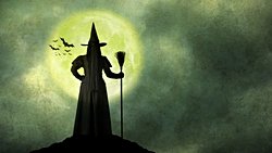 Cadılar hakkında ne biliyoruz?