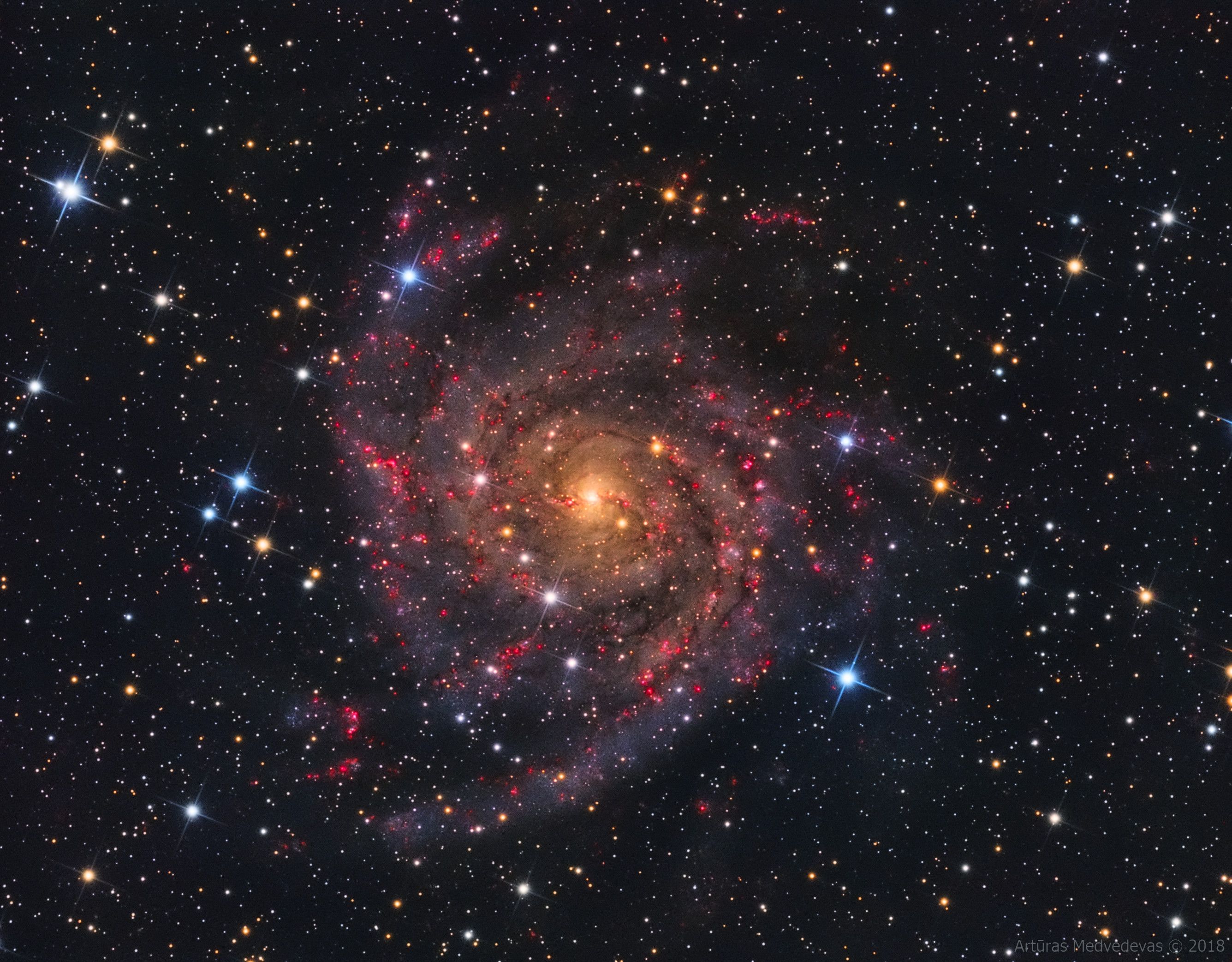  IC 342: The Hidden Galaxy