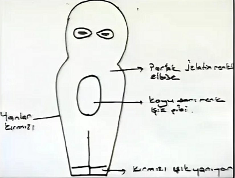 Köylünün Uzaylı Tasviri