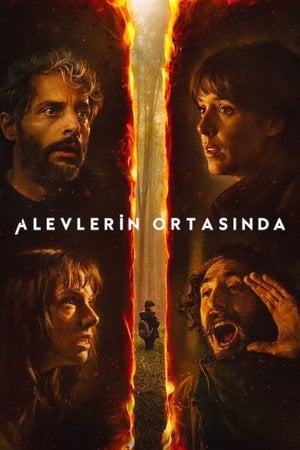 Alevlerin Ortasında