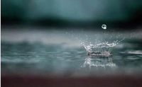 March 20 weather: Rain and temperature drop on the way in southern Ontario | insauga