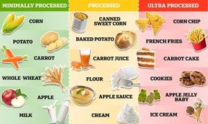 Ultra-Processed Foods Endanger Health And Well-Being