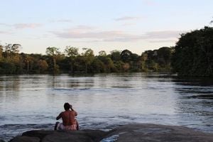 Amazon Indigenous Lands Linked To Lower Disease Rates
