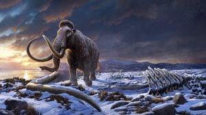 Clovis Culture Reveals Mammoth Diet Of Early Americans